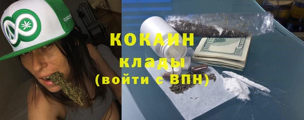прущие грибы Мегион