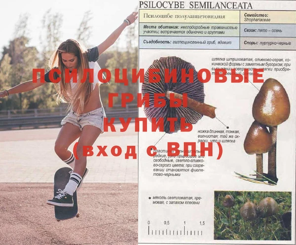 марки lsd Медвежьегорск