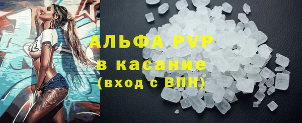прущие грибы Мегион