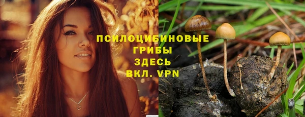 прущие грибы Мегион