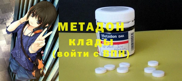 прущие грибы Мегион